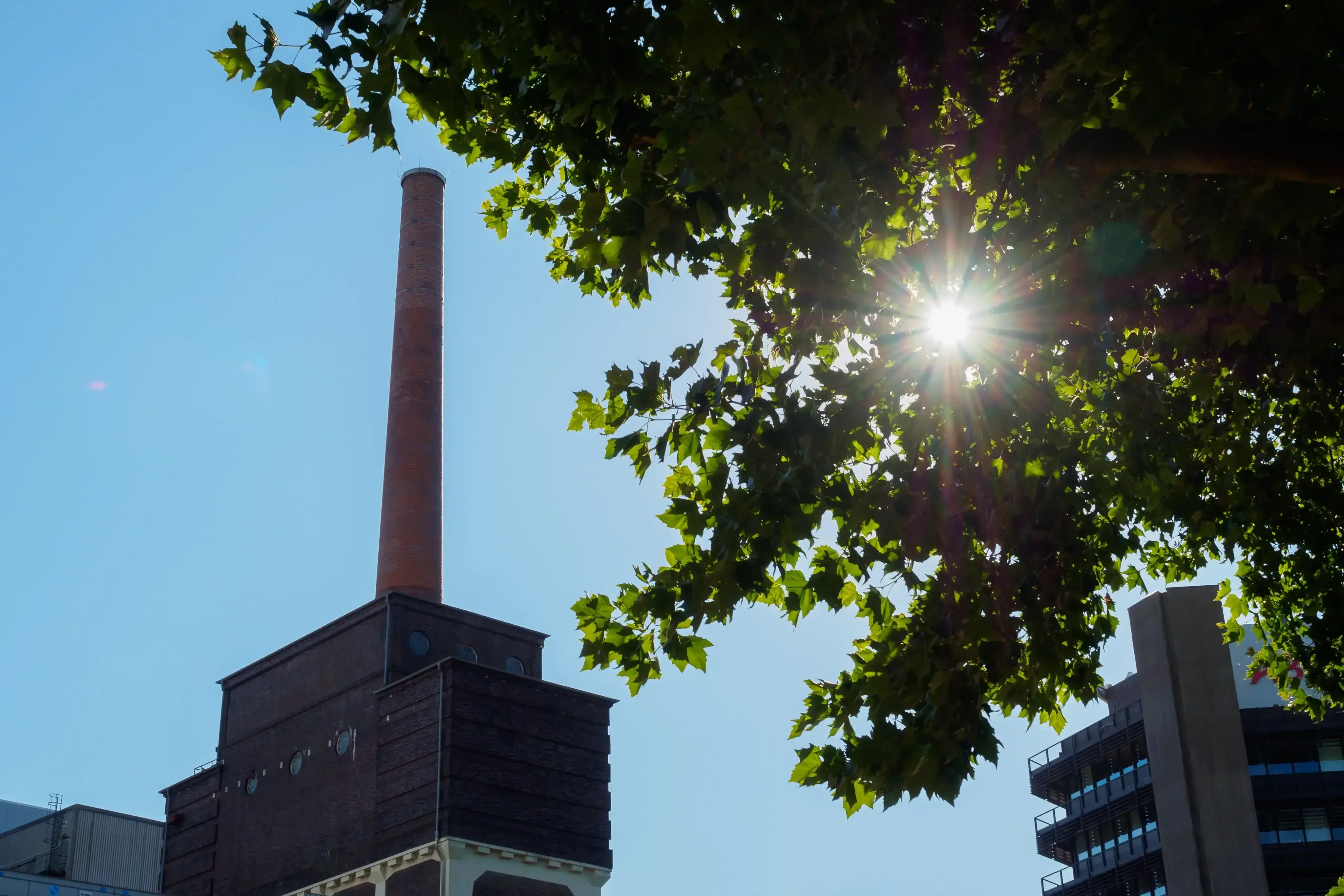 Een oude bakstenen fabrieksschouw steekt hoog uit boven een industrieel gebouw, met een helderblauwe lucht op de achtergrond. Rechts in beeld schijnt de zon door de groene bladeren van een boom, wat een speels lichteffect creëert. Aan de rechterkant zijn ook moderne gebouwen zichtbaar.